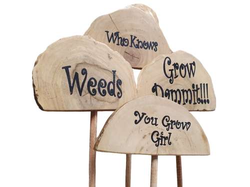 Plant Grow Sticks