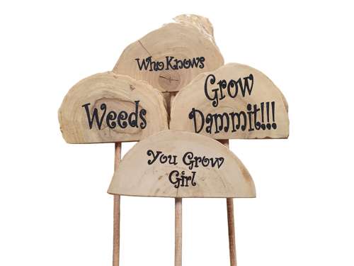 Plant Grow Sticks