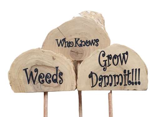 Plant Grow Sticks