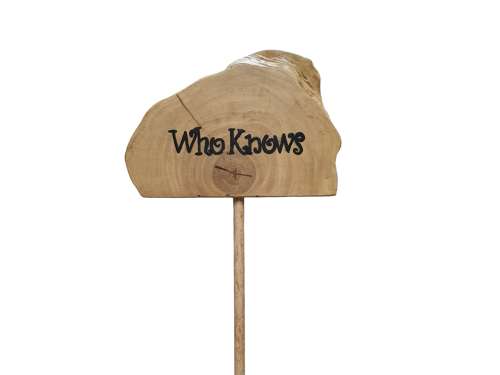 Plant Grow Sticks