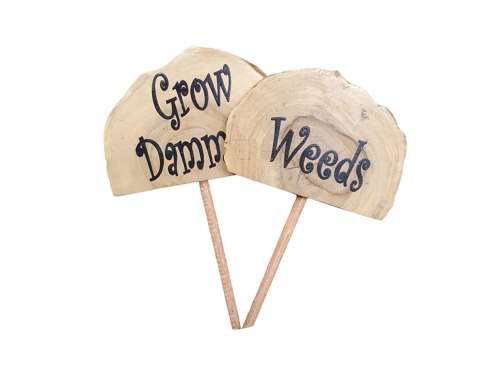 Plant Grow Sticks