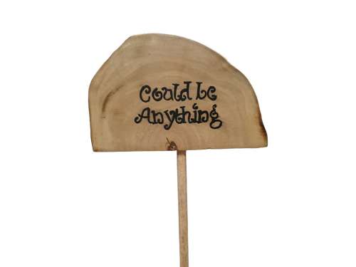 Plant Grow Sticks