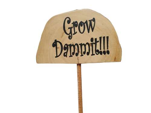 Plant Grow Sticks