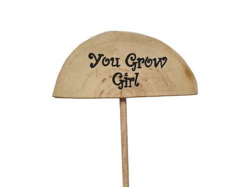 Plant Grow Sticks