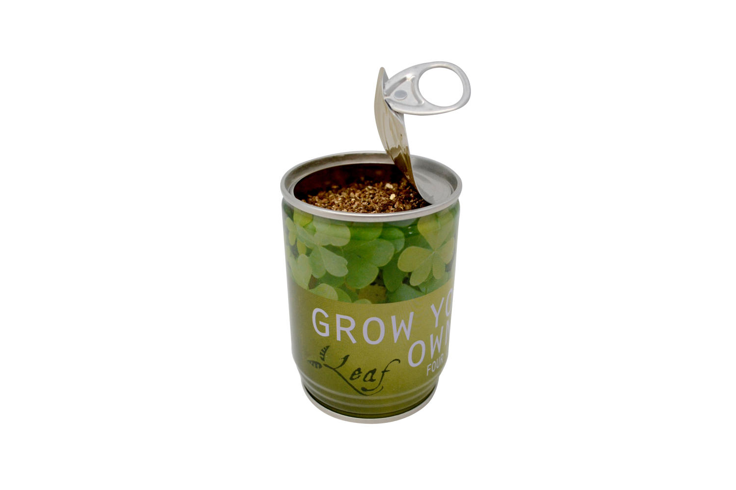 Grow Your Own Plant in a Can!