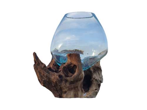 15cm Glass on Root