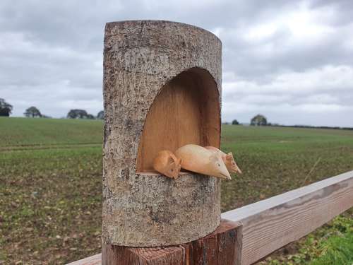 Half Log - 3d Triple Mice