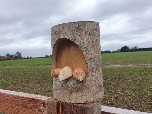 Half Log - 3d Triple Mice