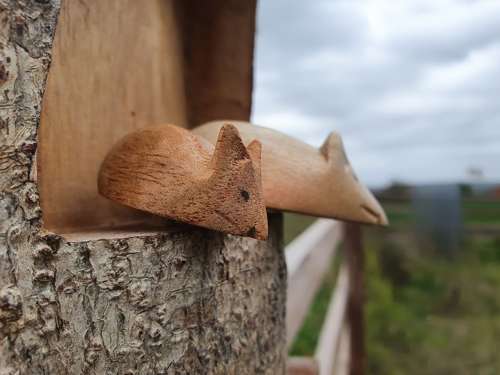 Half Log - 3d Triple Mice