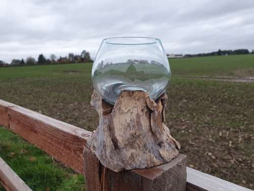 10cm Glass on Root