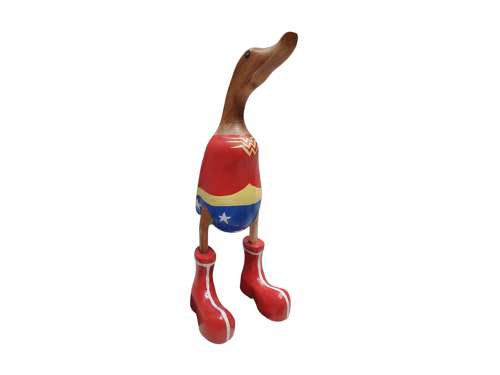 Wonder Duck