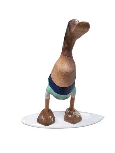 Surfer Duck
