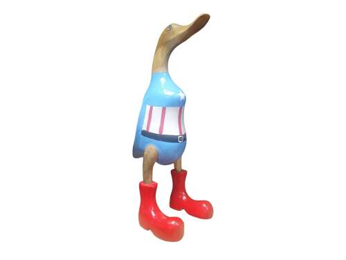 Quack-tain America